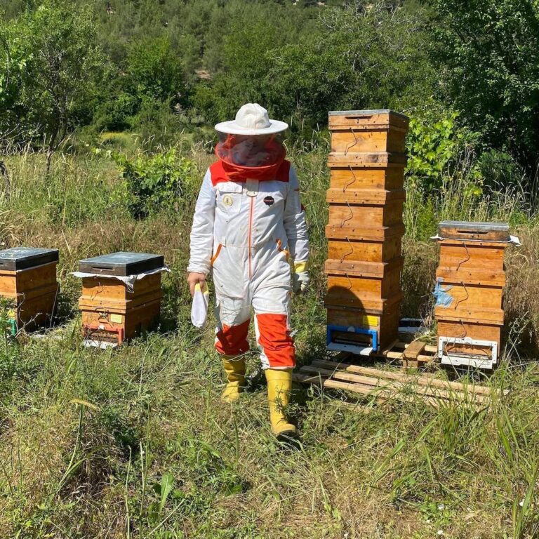 Adding More Hives to The Farm